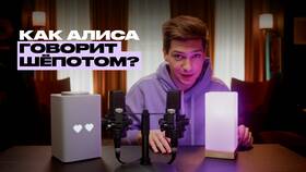 Почему Алиса говорит 