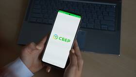 Почему изменился вход в Сбербанк Онлайн на телефоне в Дикая Орхидея