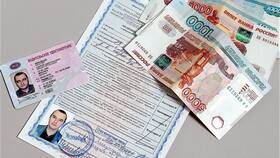 Почему не оплачивается госпошлина на Госуслугах в Дикая Орхидея