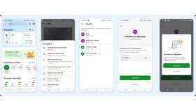 Почему нет рассрочки в приложении Wildberries в Дикая Орхидея