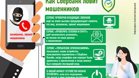 Почему Сбербанк предупреждает о мошенничестве в Дикая Орхидея