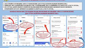 Пошаговая инструкция регистрации на Госуслугах в Дикая Орхидея