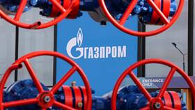 Сравнение Газпрома и Роснефти: ключевые отличия