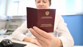 Страховой коэффициент пенсии: от чего зависит в Дикая Орхидея