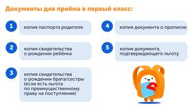 Зачем школа требует оригиналы документов при зачислении в Дикая Орхидея