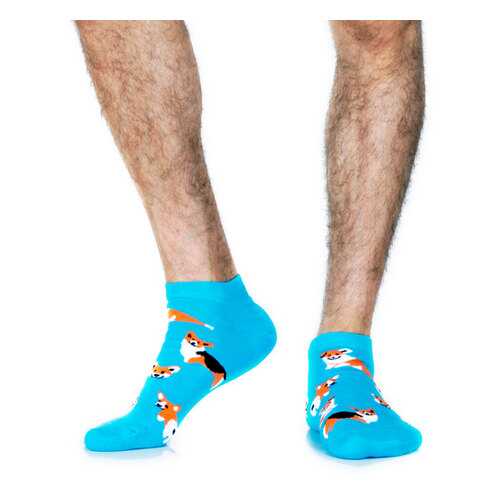 Носки St.Friday Socks Корги голубые 38-41 в Дикая Орхидея